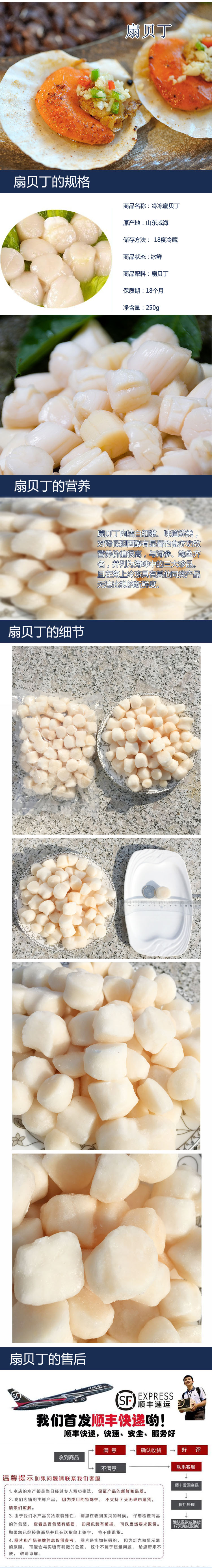 扇貝丁