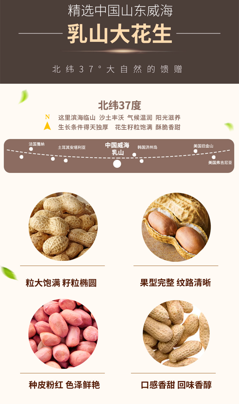 牛運當頭10品_02